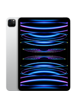 11 inç iPad Pro (4. nesil)