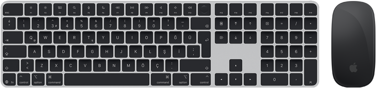 Touch ID özellikli Magic Keyboard ve Magic Mouse’un üstten görünümü